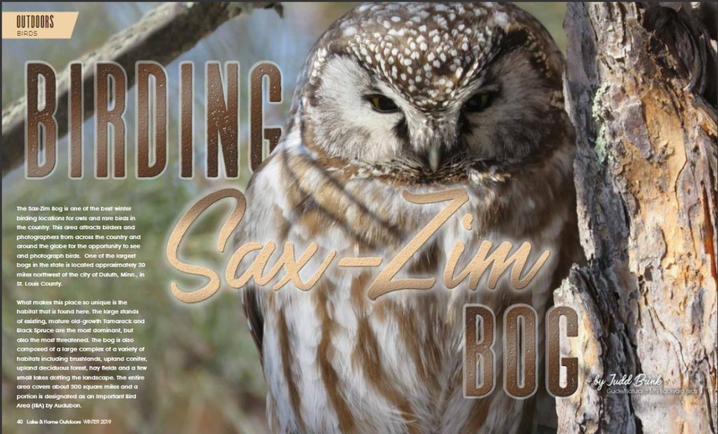 SaxZim Bog Bird Guiding Minnesota